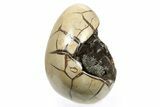 Septarian Dragon Egg Geode - Black Crystals #267346-1